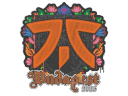 Sealed Graffiti | fnatic | Budapest 2025