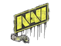 Sealed Graffiti | Natus Vincere | Paris 2023