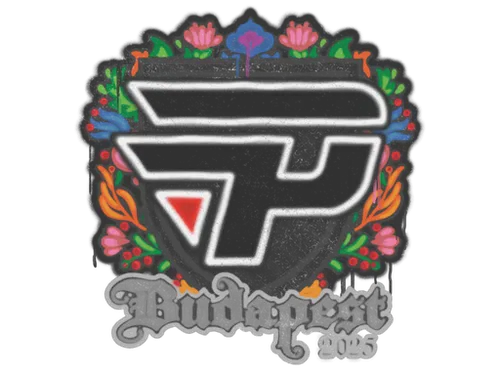 Sealed Graffiti | paiN Gaming | Budapest 2025