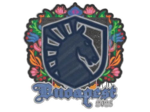 Sealed Graffiti | Team Liquid | Budapest 2025