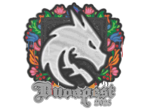 Sealed Graffiti | Team Spirit | Budapest 2025