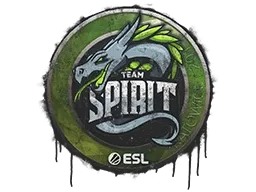 Sealed Graffiti | Team Spirit | Katowice 2019