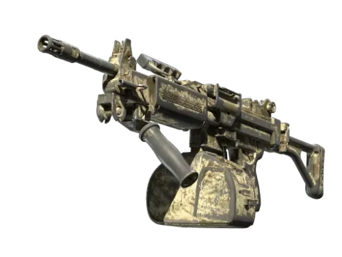 Souvenir Negev | Palm (Battle-Scarred)