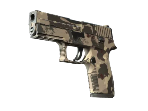 Souvenir P250 | Black & Tan (Well-Worn)