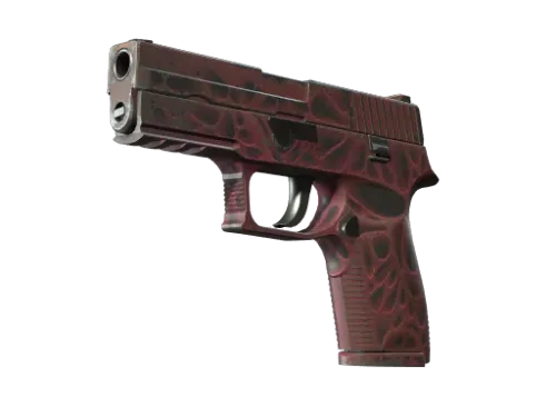Souvenir P250 | Contaminant (Field-Tested)