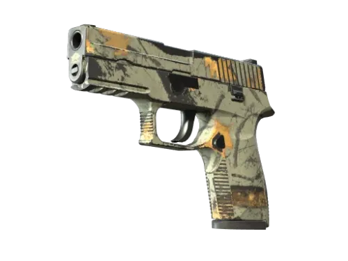 Souvenir P250 | Modern Hunter (Well-Worn)