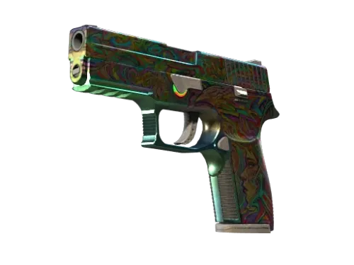 Souvenir P250 | Visions (Well-Worn)