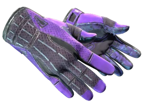 ★ Sport Gloves | Pandora's Box (Field-Tested)