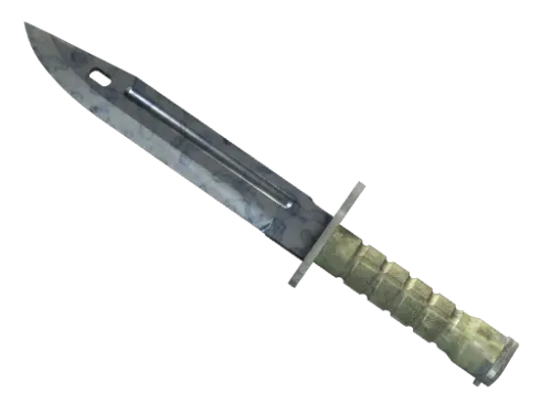 ★ StatTrak™ Bayonet | Stained (Factory New)