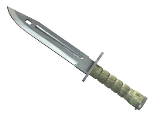 ★ StatTrak™ Bayonet