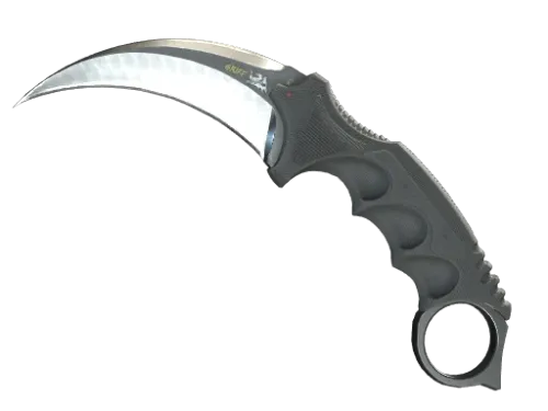 ★ StatTrak™ Karambit