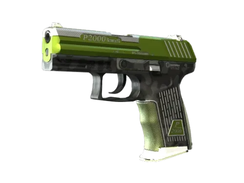 StatTrak™ P2000 | Turf (Factory New)