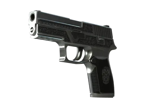 StatTrak™ P250 | Cartel (Factory New)