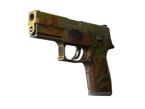 StatTrak™ P250 | Inferno (Battle-Scarred)