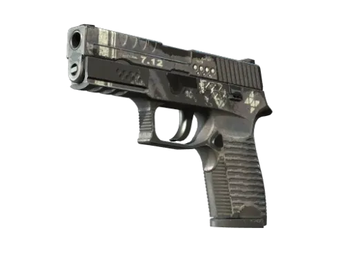 StatTrak™ P250 | Re.built (Battle-Scarred)