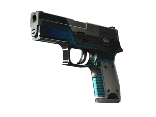 StatTrak™ P250 | Valence (Well-Worn)