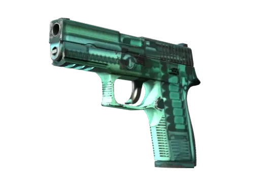 StatTrak™ P250 | X-Ray (Field-Tested)