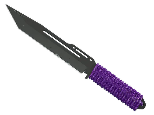 ★ StatTrak™ Paracord Knife | Ultraviolet (Field-Tested)
