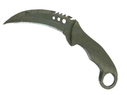 ★ StatTrak™ Talon Knife | Safari Mesh (Well-Worn)