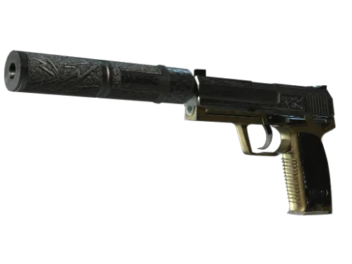 StatTrak™ USP-S | Lead Conduit (Battle-Scarred)