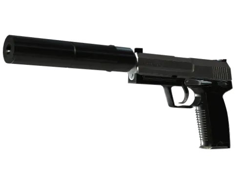 StatTrak™ USP-S | Stainless (Factory New)