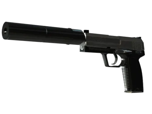 StatTrak™ USP-S | Stainless (Well-Worn)