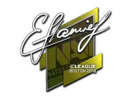 Sticker | flamie | Boston 2018