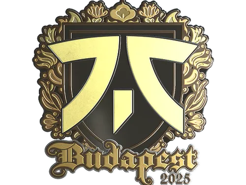Sticker | fnatic (Gold) | Budapest 2025