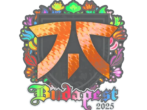 Sticker | fnatic (Holo) | Budapest 2025