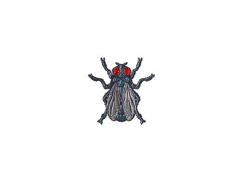 Sticker | Fruit Fly (Foil)