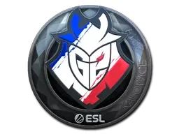 Sticker | G2 Esports (Foil) | Katowice 2019