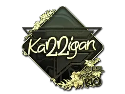 Sticker | karrigan (Gold) | Rio 2022