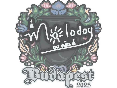 Sticker | molodoy | Budapest 2025