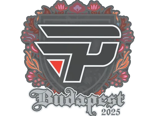 Sticker | paiN Gaming | Budapest 2025