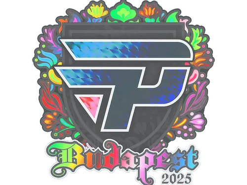 Sticker | paiN Gaming (Holo) | Budapest 2025