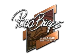 Sticker | pashaBiceps | Boston 2018