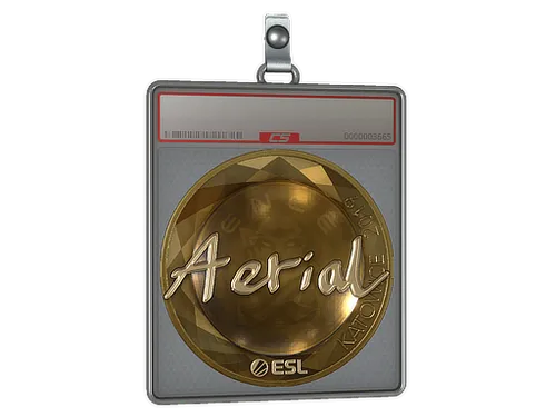 Sticker Slab | Aerial (Gold) | Katowice 2019