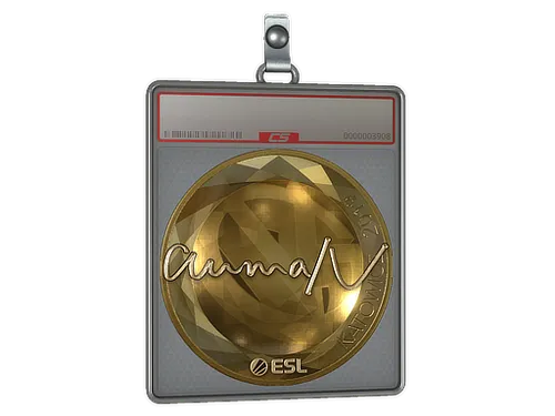 Sticker Slab | aumaN (Gold) | Katowice 2019