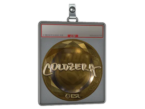 Sticker Slab | coldzera (Gold) | Katowice 2019