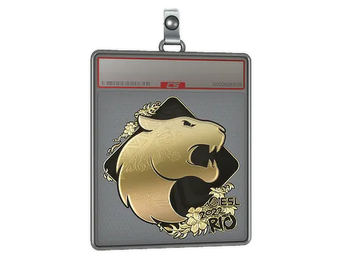 Sticker Slab | FURIA (Gold) | Rio 2022