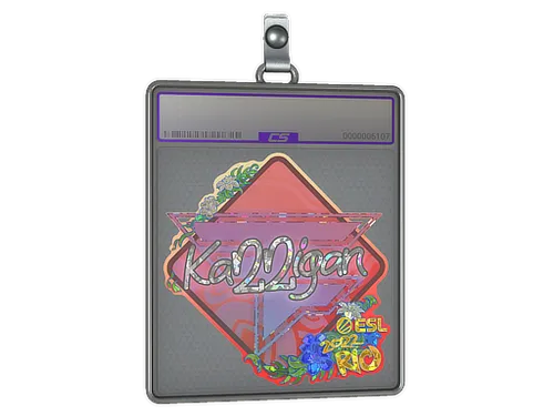 Sticker Slab | karrigan (Glitter) | Rio 2022