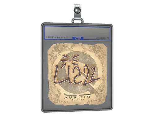 Sticker Slab | Liazz | Austin 2025