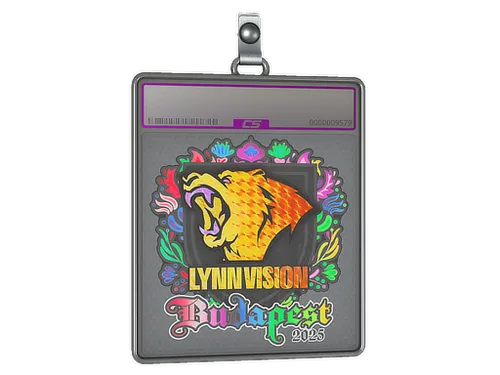 Sticker Slab | Lynn Vision (Holo) | Budapest 2025