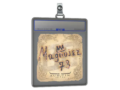 Sticker Slab | Magnojez | Austin 2025