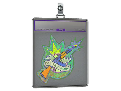 Sticker Slab | Master Guardian (Holo)