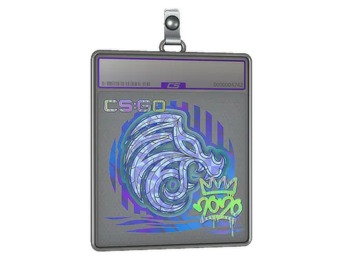 Sticker Slab | North (Holo) | 2020 RMR