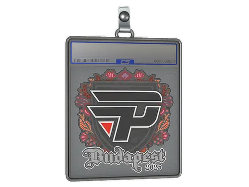 Sticker Slab | paiN Gaming | Budapest 2025