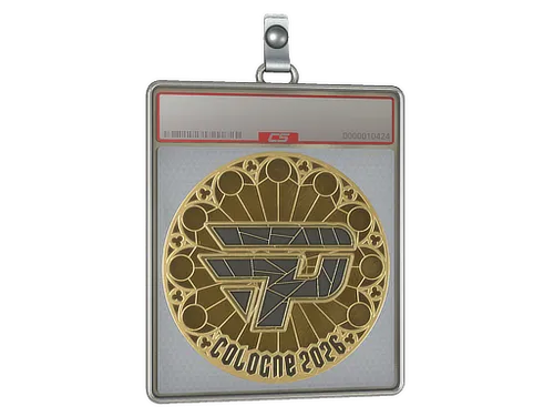 Sticker Slab | paiN Gaming (Gold) | Cologne 2026