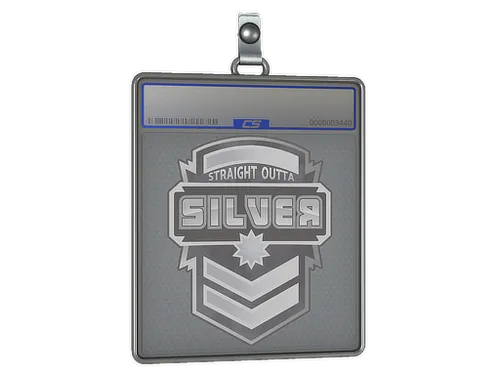 Sticker Slab | Silver