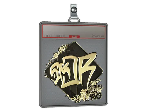 Sticker Slab | sk0R (Gold) | Rio 2022